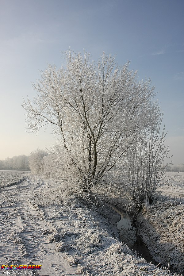 sized_Winterwonderland 015