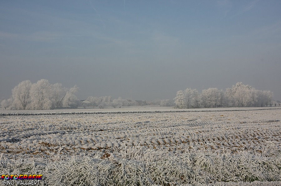 sized_Winterwonderland 026