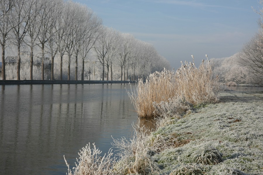 sized_Winterwonderland 028